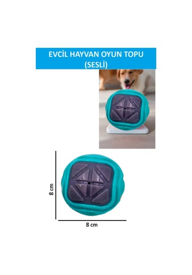 Zetconcept Sesli Köpek Topu Kendinden Sesli Köpek Oyuncağı