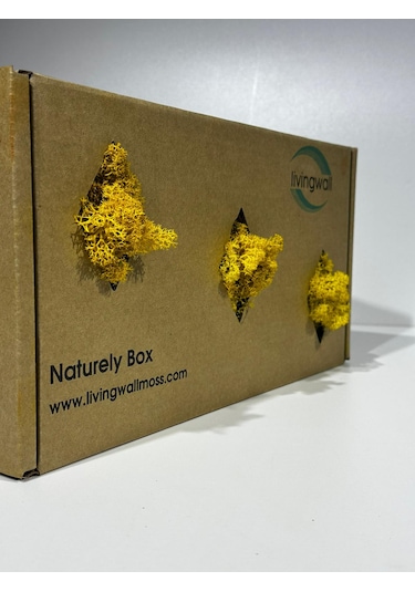 Reindermoss Şoklanmış Norveç Yosunu Terarium Yosunu Sarı 500 Gr.