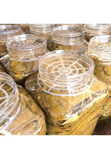 Sarıbahçe Tokat Yaprağı - 1,5 Kg (Yeni Sezon)