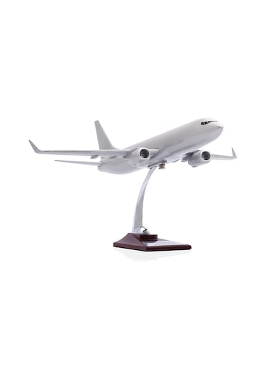 Zekupp - Maket Uçak - Boeing 737-800 1/100 - GÜMÜŞ RENK ÖZEL TASARIM Model Uçak