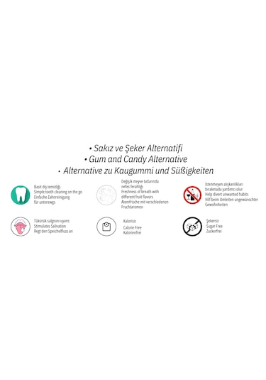 Mucize Çilek-nane Aromalı Kürdan Metal Kutu