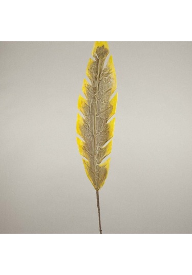 Ba-hem Sarı Kahve Jumbo