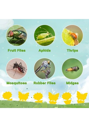 Pazly 20'lik Sarı Yapışkan Böcek Tuzağı - Ev Ve Bahçe İçin Uv Dayanımlı, Kokusuz Sinek Yakalama Levhaları