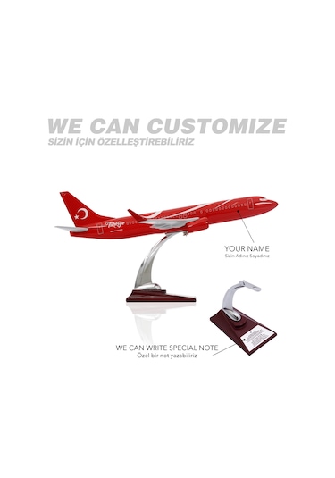 Zekupp - Maket Uçak - Boeing 737-800 1/100 - TÜRKİYE ÖZEL TASARIMLI  Model Uçak, Model C