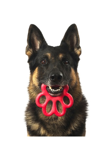 Orma Mini Köpek Oyuncağı Sarı