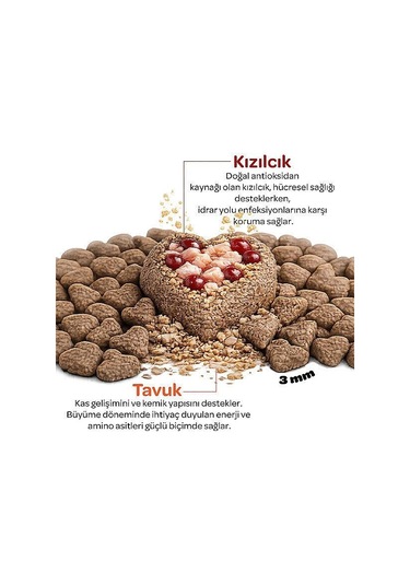 Obivan Kitten Tavuklu Ve Kızılcıklı Yavru Kedi Maması 2 KG