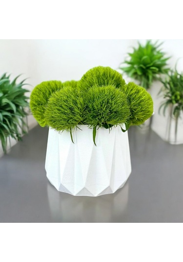 Geometrik Tasarım Modern Dekoratif Saksı