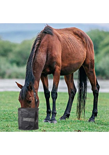 Homyl At Yem Torbası File Nefes Alabilen Güçlendirilmiş Siyah Siyah