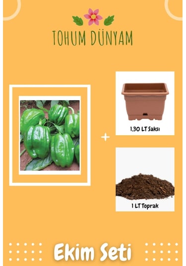 Yöresel Dolma Biber Tohumu Ekim Seti