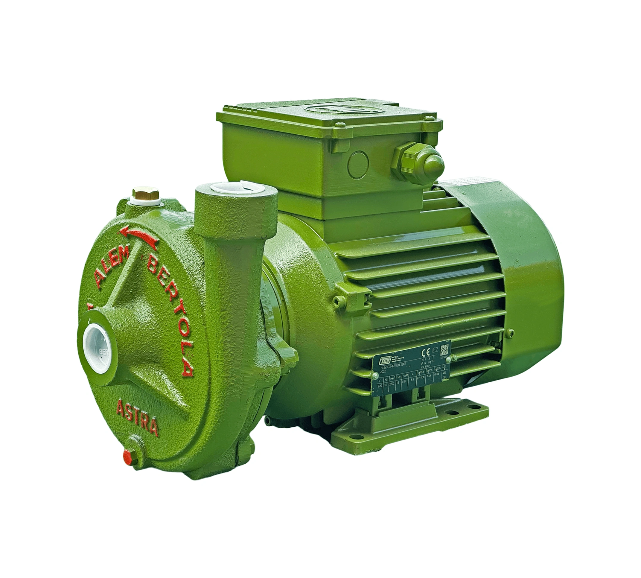 Alem Bertola Astra Bahçe Su Pompası 2 Hp 220 Volt Monofaze