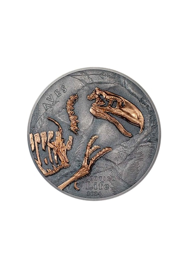 Agakulche Nimravidae Evrimi 2024 1 Ons Gümüş Sikke Coin
