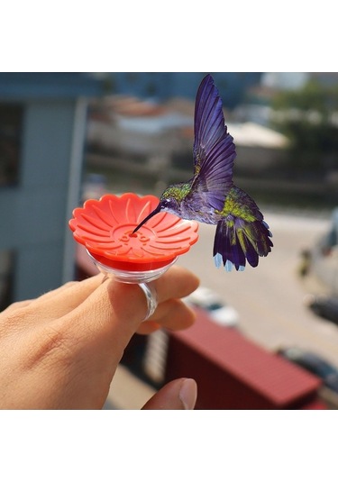 Ulzyvf Lebihmurah 4995 Kuş Halkası Besleyici Çevre Dostu Yaratıcı Tasarım Sinek Kuşu El Besleyici, Küçük Boy