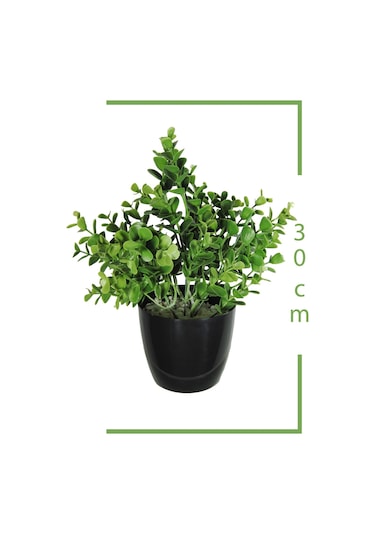 Yapay Çiçek Şimşir Okaliptus Yapay Bitki Siyah Plastik Saksılı Dekoratif Süs Çiçeği Yeşil