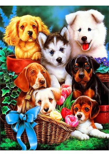 Shineyee 30x40cm Zs314 Tam Taşlı Kristal Dekoratif Tablo - Dıy Boyama Seti Ve Araçlar Dahil Siyah