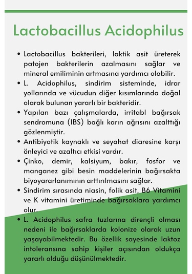 Microbiome Lactobacillus Acidophilus 30 Kapsül