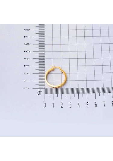 Bilezikci 22 Ayar Kartiyer Altın 2,5 Cm. Çaplı Halka Küpe