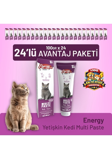 Yetişkin Kedi Multi Paste 100 G - 24 Adet