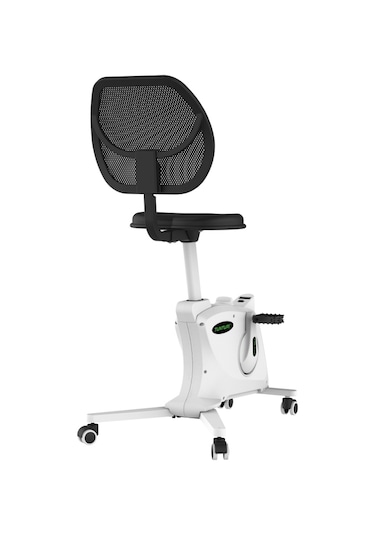 Tunturi DB 132 Home Office Bisikleti