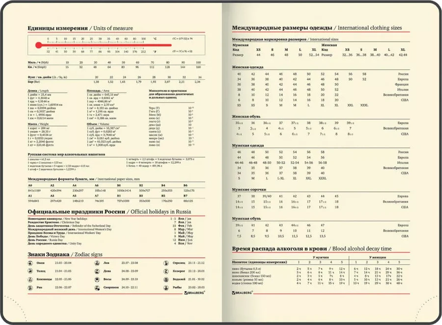 Brauberg Not Dated 160-page Planner & Organizer 17485566 Pembe