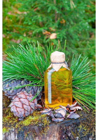 Intense Natural Çam Terebentin Uçucu Yağı Doğal Pine Turpentine Essential Oil 50 ML