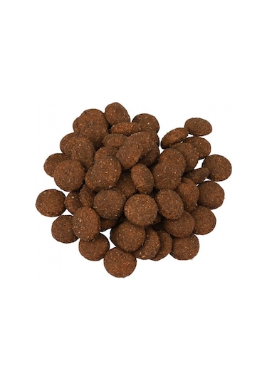 Fitmin For Life Taze Biftek Etli Yetişkin Köpek Maması 2500 G