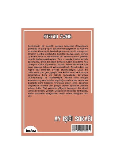 Ay Işığı Sokağı Yeni Çeviri / Stefan Zweig