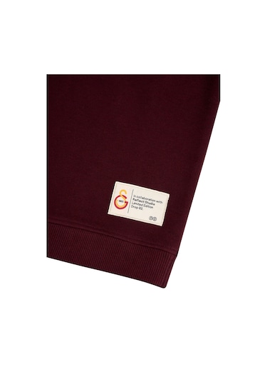 Gsstore X Reflect Studio Aslan Çocuk Hoodie C242400 Bordo
