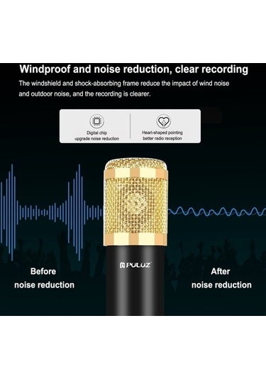 Wondernest Puluz Kondenser Mikrofon Stüdyo Yayını Profesyonel Şan Mikrofonu, Küçük Boyutlu