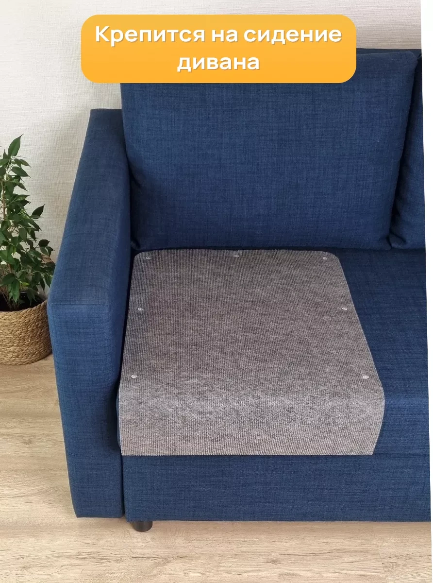 Aseliadia Kedi Kınağı - 80x50 Cm Kanepe Tipi 191549420