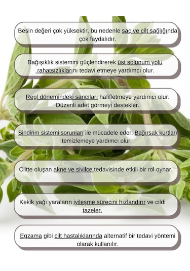 Lavendrose Kekik Yağı %100 Saf - Bitkisel Kekik Uçucu Yağı 10ml