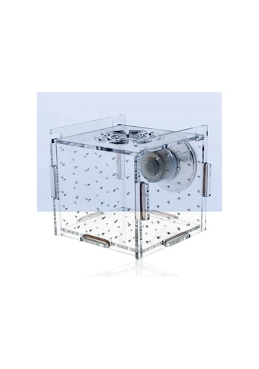 Magideal Suntek Akvaryum Balık Yetiştirici Kutu