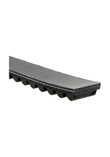 Gates 31003 800x20,5 Kymco Agility/like Oem23100-lcd4-e00 Fransa Üretim