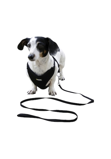 Kerbl Yavru Köpek Göğüs Tasması Siyah 30 - 50 CM Siyah