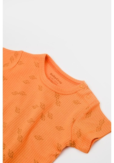 Organik Modal Fil Baskılı 2 Li Takım Csym11705 001