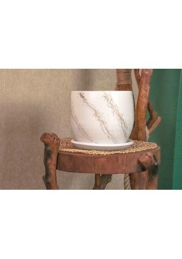 Bitki Tasarımı Beyaz Üzeri Gold Tabaklı Terracota Toprak Saksı Saksılık Salon Çiçeklik 19 Cm