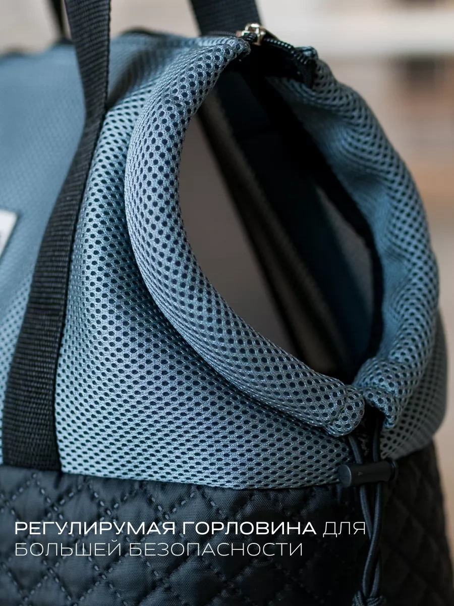 Raimos Küçük Köpekler Ve Kediler İçin Taşıma Çantası M 236338690