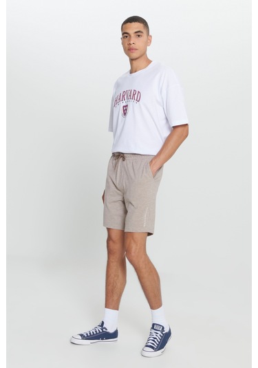 Ac&Co / Altınyıldız Classics Erkek Kahve Melanj Standart Fit Normal Kesim Pamuklu Rahat Örme Şort