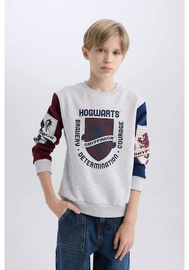 Defacto Erkek Çocuk Harry Potter Regular Fit Bisiklet Yaka Sweatshirt D4258a8nsgr400 Gri