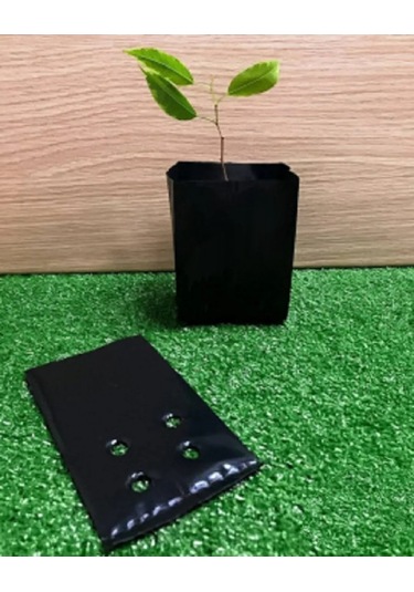 Umnyj Sad Fide Poşetleri 0,5 Litre 100 Adet 185618535