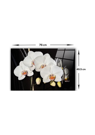 Decorita Orkideli Mutfak | Ocak Arkası Koruyucu | 49.5cm x 76cm