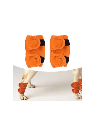 Homyl 2x Pet Diz Pedleri Bacak Desteği Brace Koruyucu Turuncu-l