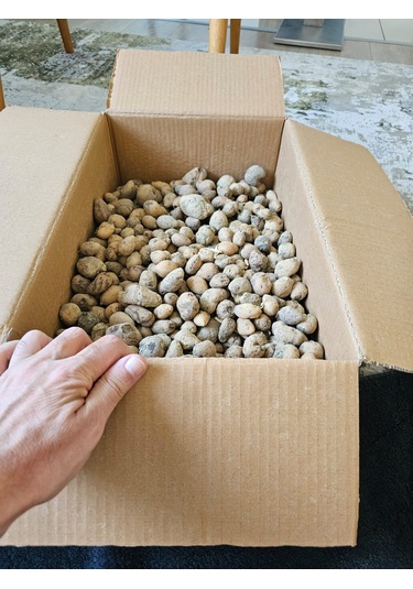 Salep Fidesi Serapies