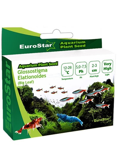 Eurostar Bitki Tohum Small Leaf Base Plant