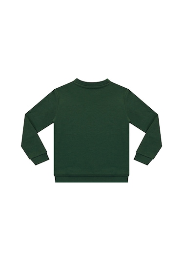 Denokids Roarr Dino Erkek Çocuk Haki Sweatshirt Renkli