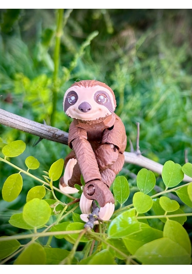 Tembel Hayvan Oyuncak 3d Hareketli Organik Vip Model- Büyük Boy