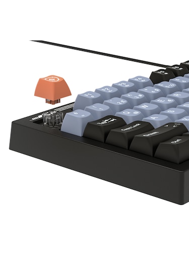 Everest KB-98 Silent Sessiz Rainbow Q Membrane Klavye