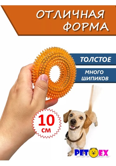 Pet-ex Küçük Köpekler İçin 10 Cm'lik Zangırtılı Ve Dikenli Köpek Tasması 241229175