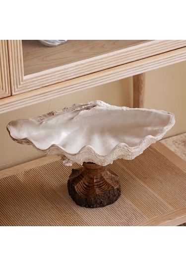 Mudo Home Shell Dekoratif Kase Beyaz 45x25x23 Cm