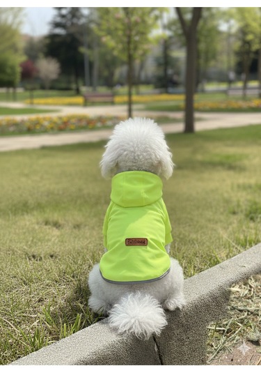 Patilinka Kedi Köpek Kışlık Kıyafet Yeşil Kapüşonlu Yağmurluk