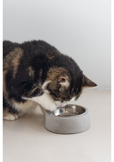 Beeztees Dbl Kedi Mama Su Kabı, Paslanmaz Çelik, 12,5cm, 160ml